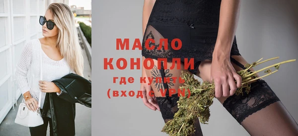 мдпв Елабуга