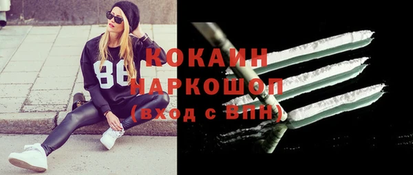 мдпв Елабуга