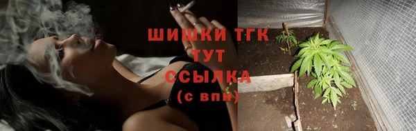 мдпв Елабуга