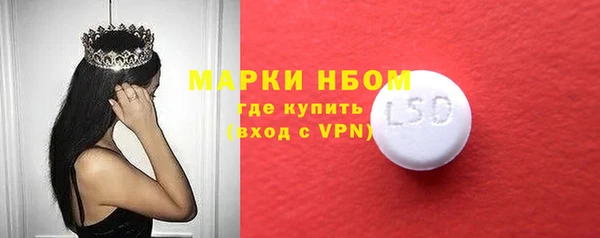 мдпв Елабуга