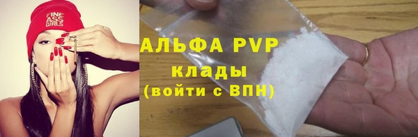 альфа пвп Елизово