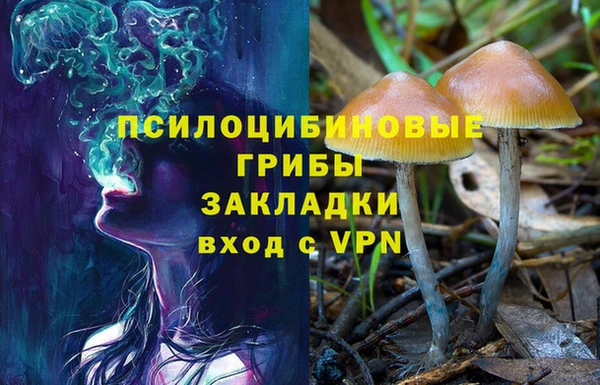прущий лед Ельня