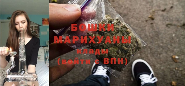 прущий лед Ельня
