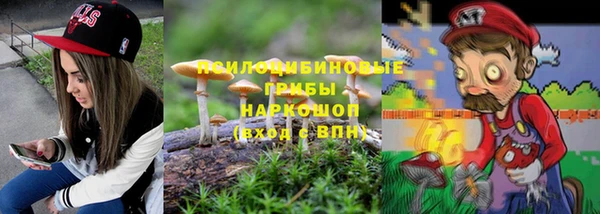 мдпв Елабуга