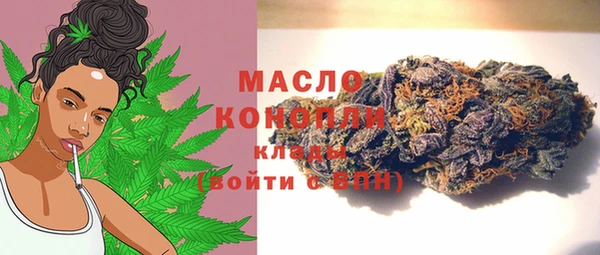 крисы Дмитриев