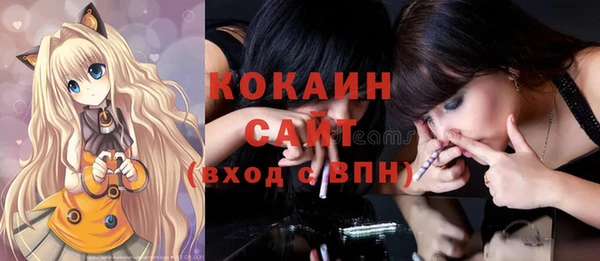 мдпв Елабуга