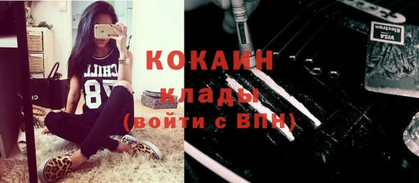 прущий лед Ельня