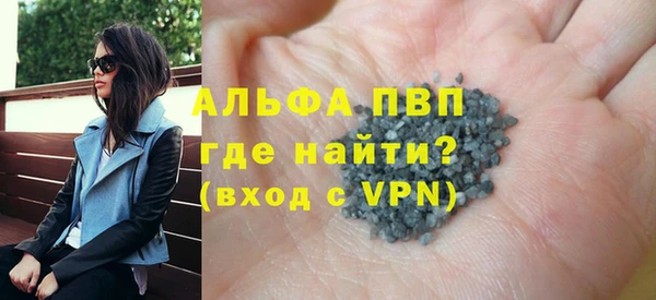 стаф Дмитров